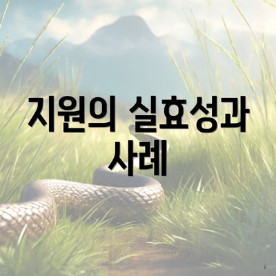 지원의 실효성과 사례