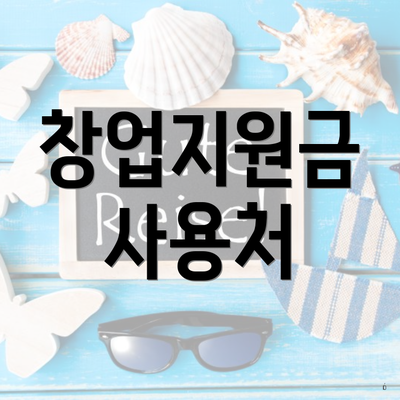 창업지원금 사용처