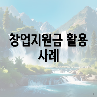 창업지원금 활용 사례