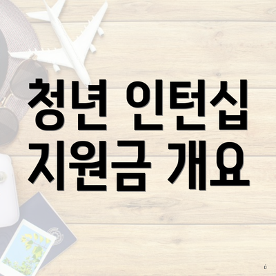 청년 인턴십 지원금 개요