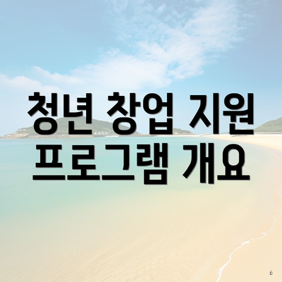 청년 창업 지원 프로그램 개요