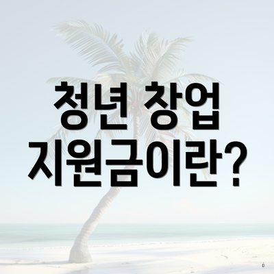 청년 창업 지원금이란?