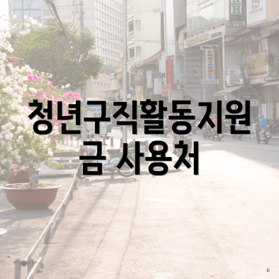 청년구직활동지원금 사용처