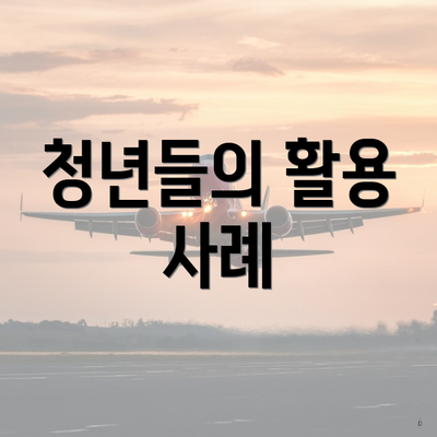 청년들의 활용 사례