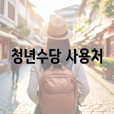 청년수당 사용처
