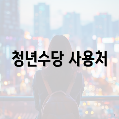 청년수당 사용처