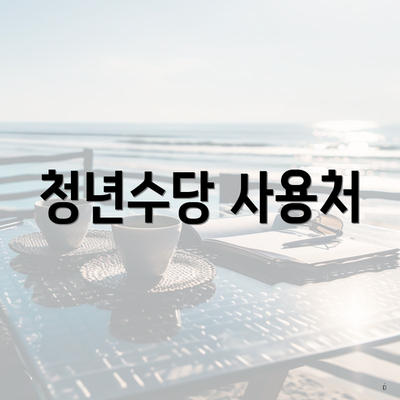 청년수당 사용처