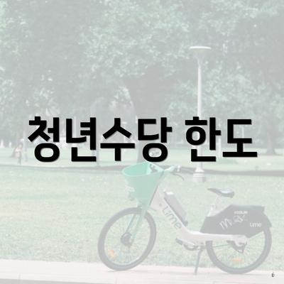 청년수당 한도