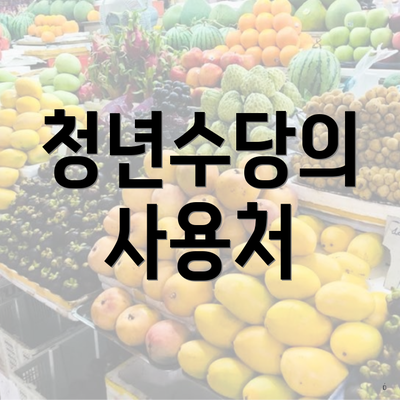 청년수당의 사용처