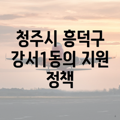 청주시 흥덕구 강서1동의 지원 정책