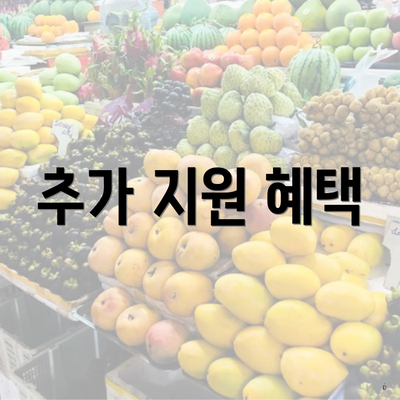 추가 지원 혜택