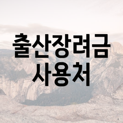 출산장려금 사용처