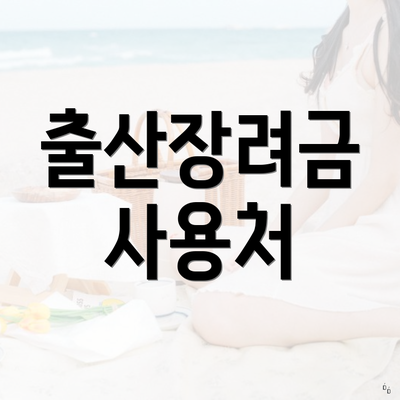 출산장려금 사용처
