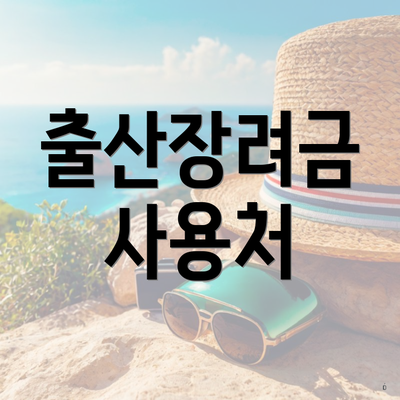 출산장려금 사용처