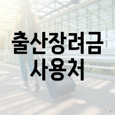 출산장려금 사용처