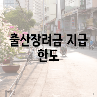 출산장려금 지급 한도