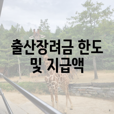 출산장려금 한도 및 지급액
