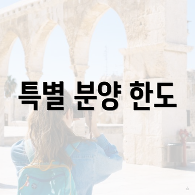 특별 분양 한도