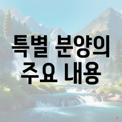 특별 분양의 주요 내용