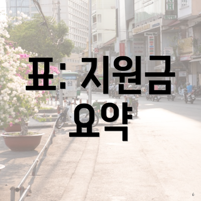 표: 지원금 요약