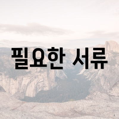 필요한 서류
