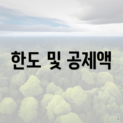 한도 및 공제액