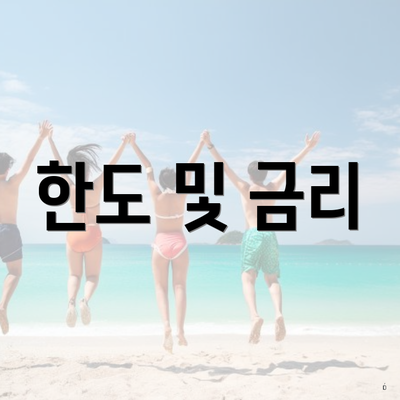 한도 및 금리