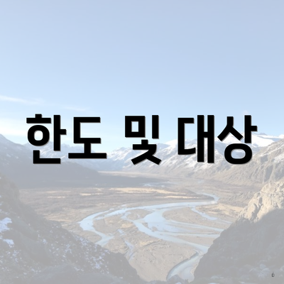 한도 및 대상
