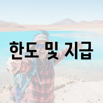 한도 및 지급