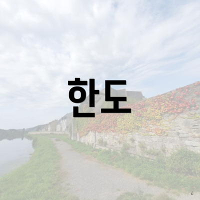 한도