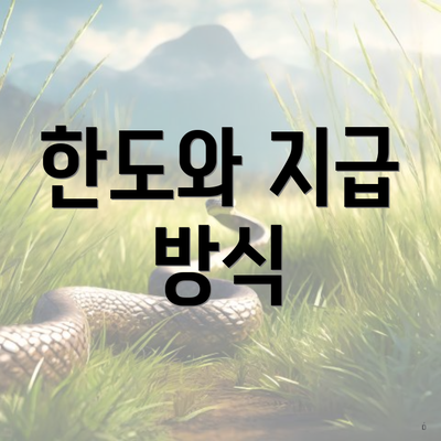 한도와 지급 방식