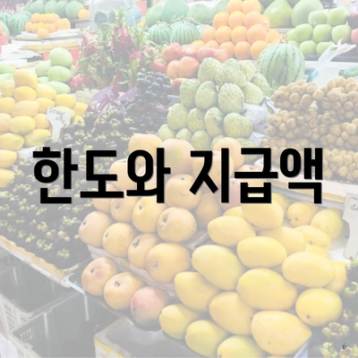한도와 지급액