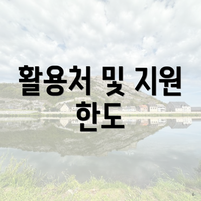 활용처 및 지원 한도