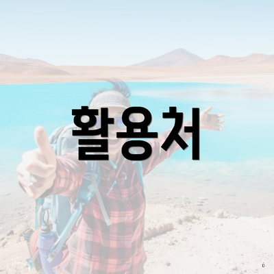 활용처