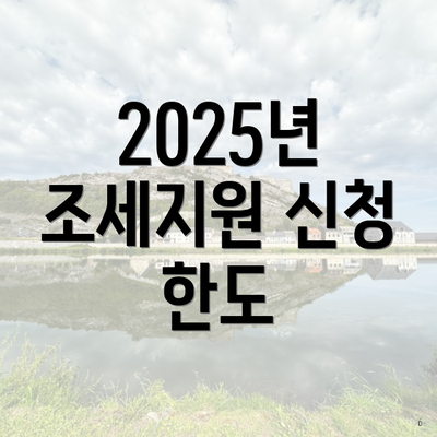 2025년 조세지원 신청 한도