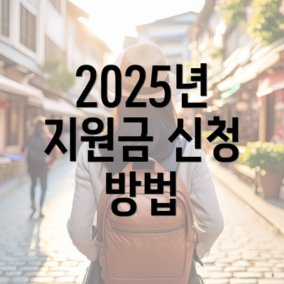 2025년 지원금 신청 방법