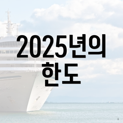 2025년의 한도
