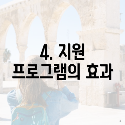 4. 지원 프로그램의 효과