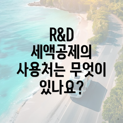 R&D 세액공제의 사용처는 무엇이 있나요?