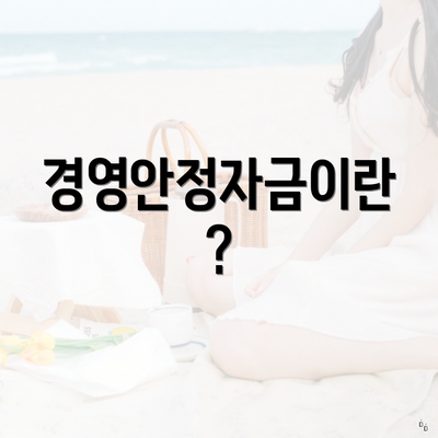경영안정자금이란?