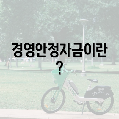경영안정자금이란?