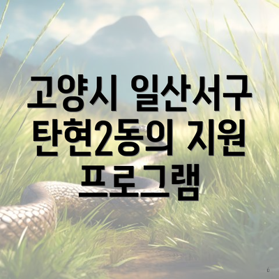 고양시 일산서구 탄현2동의 지원 프로그램