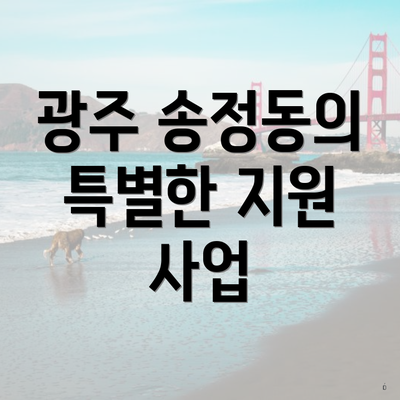 광주 송정동의 특별한 지원 사업