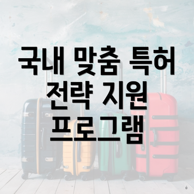 국내 맞춤 특허 전략 지원 프로그램