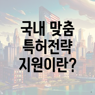 국내 맞춤 특허전략 지원이란?