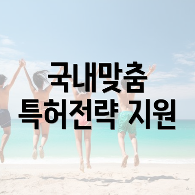 국내맞춤 특허전략 지원