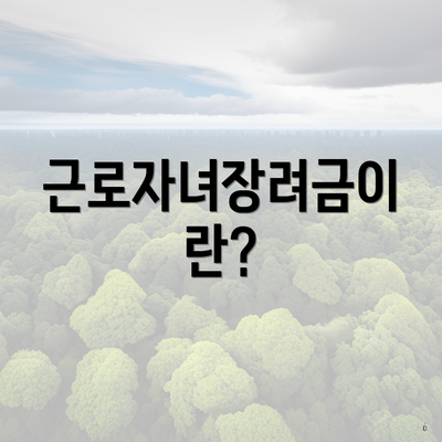 근로자녀장려금이란?