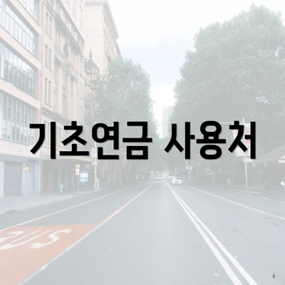 기초연금 사용처