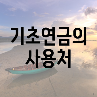기초연금의 사용처