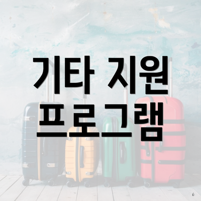 기타 지원 프로그램